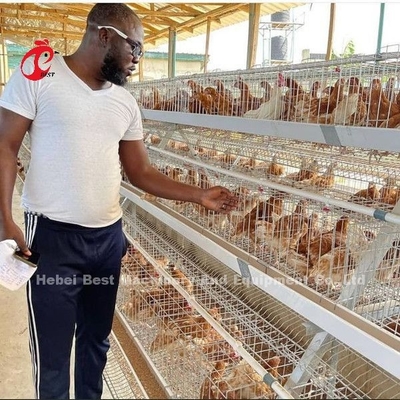 Cage automatique de couche de batterie, cage Nigéria Lagos Sandy d'aviculture