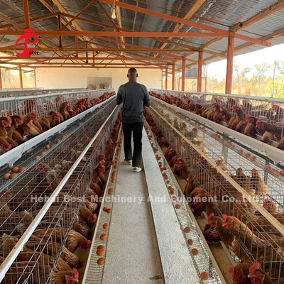 3/4/5/6/7/8 Système de cage à couche de volaille avec alimentateur automatique Adela