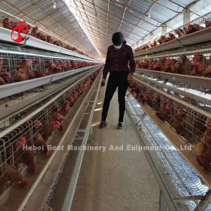 Prix en acier en gros de cage de batterie de la couche Q235 dans la longue durée de vie Mia du Nigéria