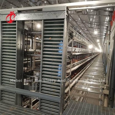 Le système automatique de cage de batterie de volaille a enduit le fil de la longue durée de vie Nigéria Sandy