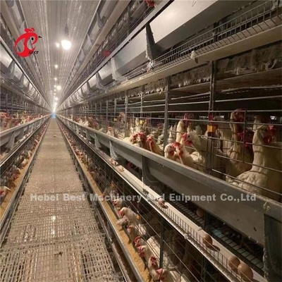 Cage à couches de type H pour les poulets commerciaux
