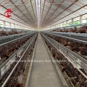 La meilleure cage de poulet de ferme avicole de couche pour les pondeuses 4 rangées Mia