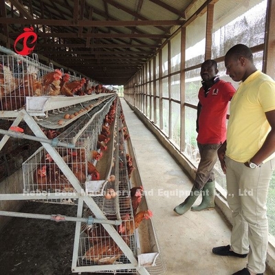 La plupart de batterie économique de couche de poulet mettent en cage l'aviculture pour 5000/10000/20000 d'oiseaux se tiennent le premier rôle