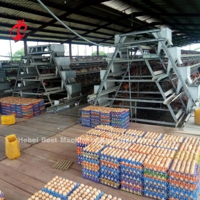 CE commercial Adela de système de cage de batterie de poulet de couche de cage complètement automatique de poulet