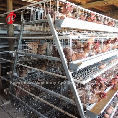La cage en gros de couche de volaille du prix usine Q235, oiseaux du système 256 de cage de batterie se tiennent le premier rôle