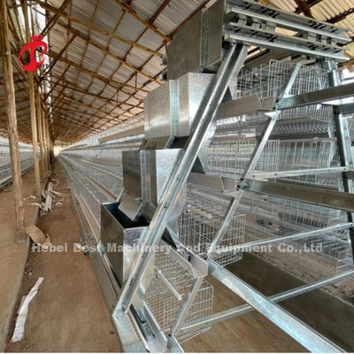 Élevage de volailles galvanisées Un système de cage automatique de type pour les couches au Nigeria populaire Rose