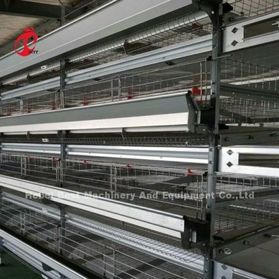 Système de cage de volaille à batterie automatique de type H