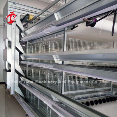 Cage automatique à couche de volaille de type H et A 15000 Oiseaux populaires en Afrique Rose