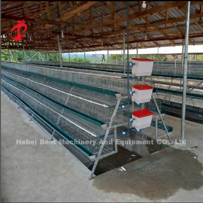 Système commercial 2.0m*2.0m*1.45m de cage de batterie de couche de poulet en étoile du Nigéria