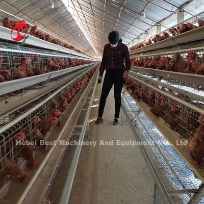 Un type système automatique de cage d'aviculture pour des couches se tiennent le premier rôle