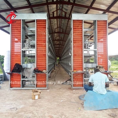 Un type de H cages de batterie commerciales adultes de poulet pour l'étoile de pondeuses