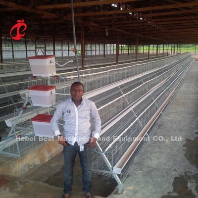 Le prix de cage de batterie de couches au Nigéria 12 oiseaux du poulet 128 de semaines se tiennent le premier rôle