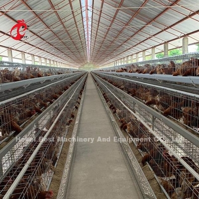 Étoile automatique du Nigéria de cage de poulet à rôtir de batterie de qualité d'exportation de la Chine