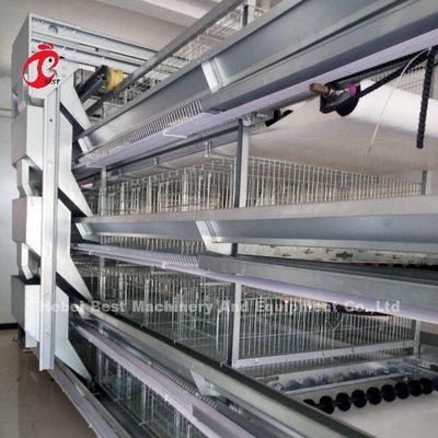 Type complet cages de H de batterie automatiques de poulet de couche 500 oiseaux Adela
