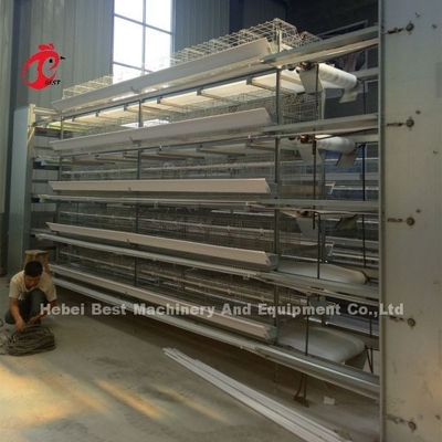Type complet cages de H de batterie automatiques de poulet de couche 500 oiseaux Adela