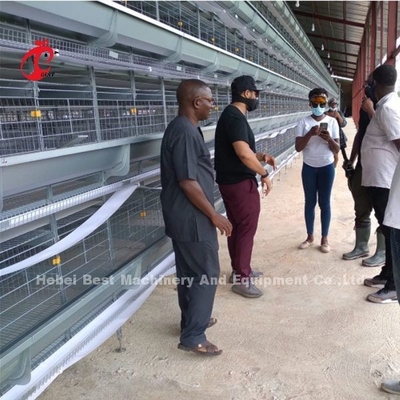 La couche de haute qualité populaire d'oeufs de cage de couche d'aviculture de système automatique de cage met en cage Rose