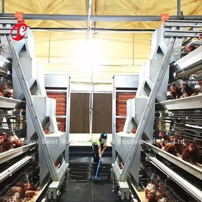 Un type cage de batterie de poulet de couche complètement automatique pour la grande ferme Adela