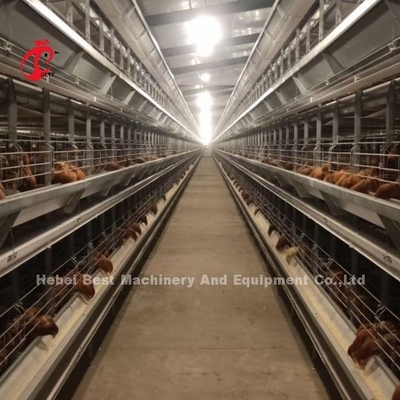 Le PVC a enduit l'équipement de ferme avicole de batterie 380V 3kw Emily