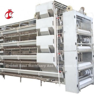Le PVC a enduit l'équipement de ferme avicole de batterie 380V 3kw Emily