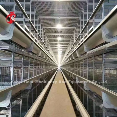 La plupart de type populaire de H système automatique de cage d'aviculture pour la grande ferme Adela