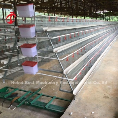Escomptez un type cage de batterie de volaille pour des oiseaux de la vente 160 de couche en Zambie Adela