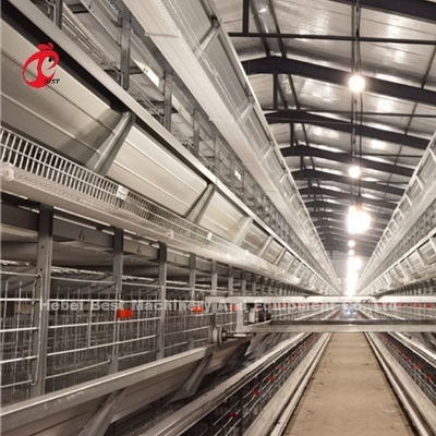 Système de cage d'aviculture de batterie de poulet un type de H 3 rangées pour la couche Rose