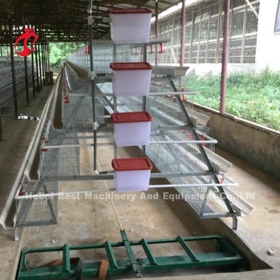 Vente chaude Rose de couche de batterie de cage de système de couche de poulet de rangées commerciales automatiques de la cage 3
