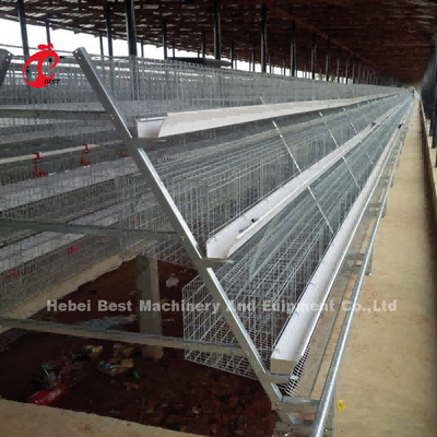 L'immersion chaude de 3 rangées a galvanisé la cage de poulet de ferme avicole, vente chaude Mia de cage de poulet de couche