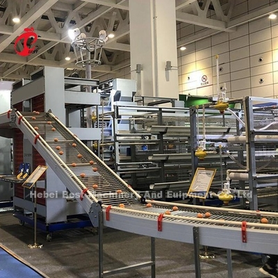 Type de batterie équipement de ferme avicole de couche avec la machine de alimentation automatique 9 rangées Mia