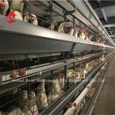 Cage très utilisée de couche de volaille de fil de fer pour le poulet commercial Mia