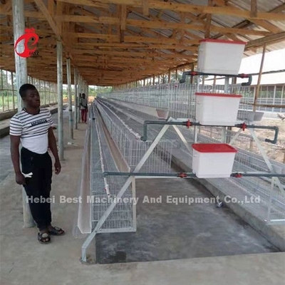 Un type aviculture de cage de batterie de poulets à rôtir ISO14001 Doris