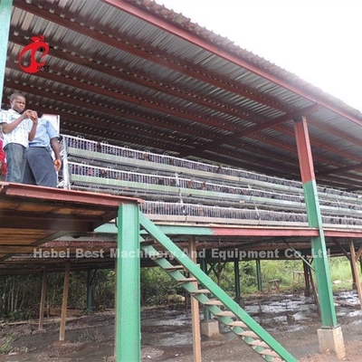 Un type aviculture de cage de batterie de poulets à rôtir ISO14001 Doris