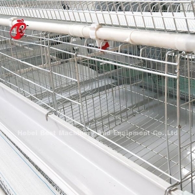 système de cage d'aviculture de 2.2m, cage de batterie de 9 rangées pour des couches Rose