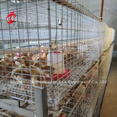 Fil d'acier de couveuse de poussins de bébé de système de cage d'aviculture Q235 Emily