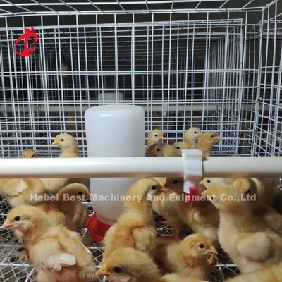 Équipement d'élevage de volailles Système de cage de poulet à batterie de type H pour poulets de chair Mia
