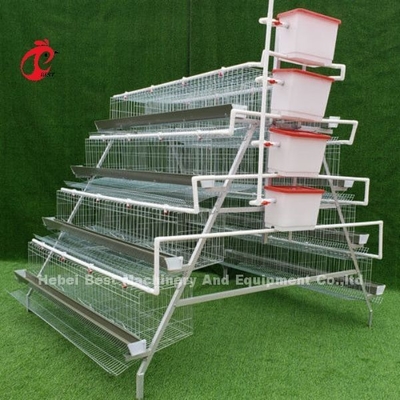 10000 couches de poulet de batterie de couche mettent en cage l'espace de sauvegarde semi automatique Adela