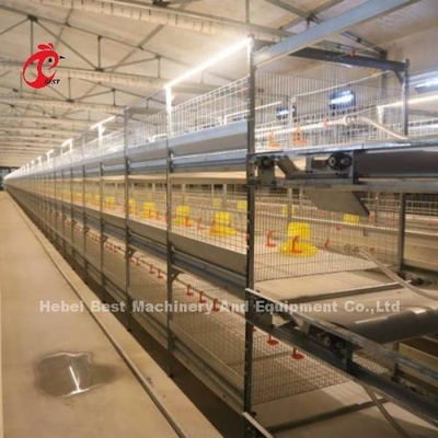Type CE de cage de poulet à rôtir, équipement complètement automatique Adela de H de cage de grilleur