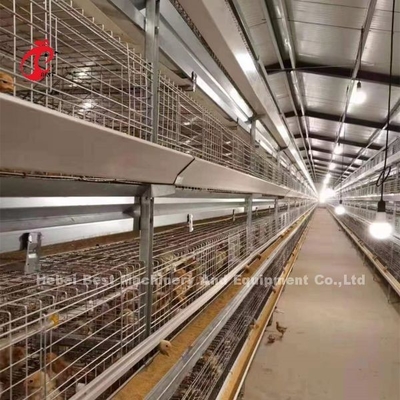 Type CE de cage de poulet à rôtir, équipement complètement automatique Adela de H de cage de grilleur