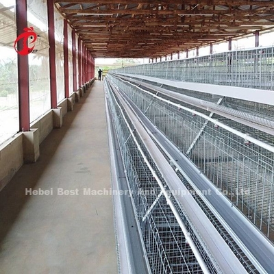 le système de cage d'aviculture de 4 rangées, facile installent la cage galvanisée Doris de poulet