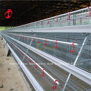 Type cage de 120 poulets A de batterie de couche d'équipement Mia de volaille