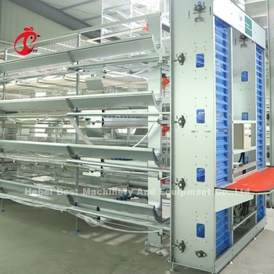 Automatique personnaliser couche stable élevage de volaille cage batterie plus grande taille rose