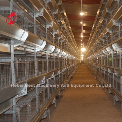 Anti corrosif d'aviculture de système complètement automatique de cage au Nigéria Rose