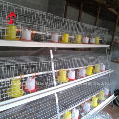 Type cage d'élevage, cage de batterie d'OIN de poulet de 3 rangées pour l'iris de ferme avicole