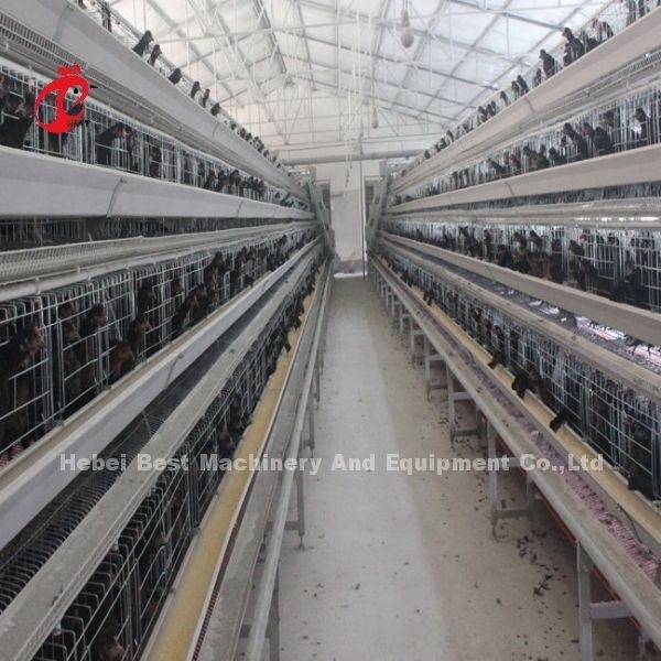 Galvanisé à chaud une cage de couche de système d'abreuvement automatique de type dans la ferme Adela
