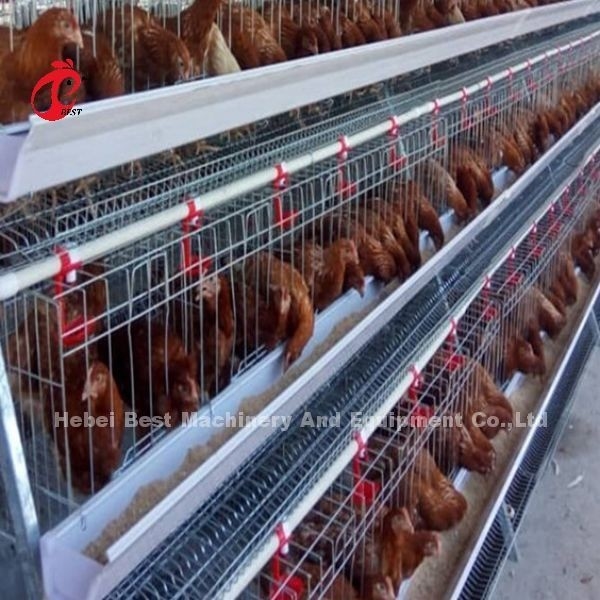 Un système de cage de batterie à couche galvanisée d'argent de type 4 Adela