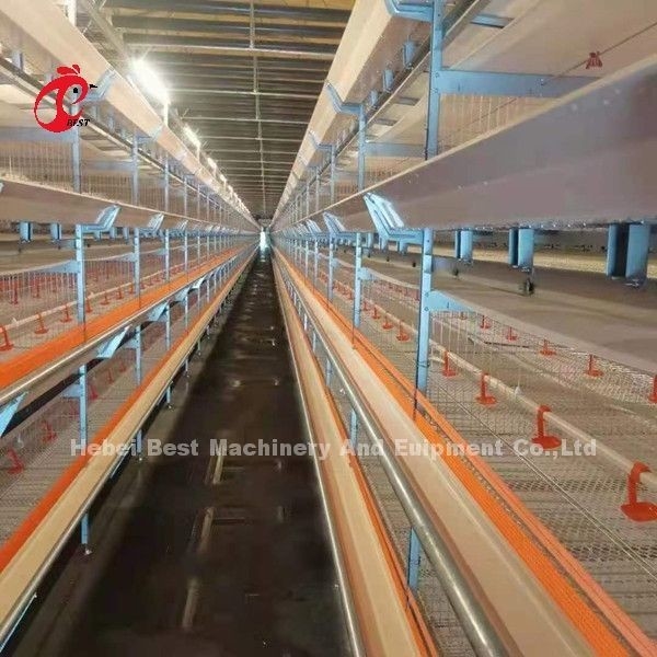 Meilleur système de cage de batterie galvanisée à trois niveaux à 96 couches pour oiseaux au Kenya