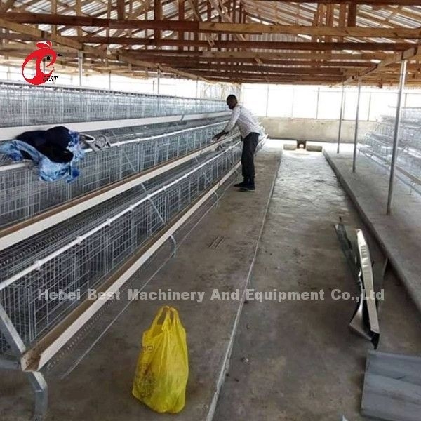 Poulet A et système automatique de cage de batterie de H pour l'élevage Sandy d'aviculture