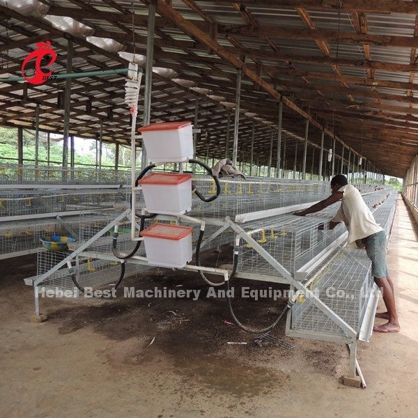Le CE un type 120 oiseaux Chick Rearing Cage With Drinkers et conducteurs se tiennent le premier rôle