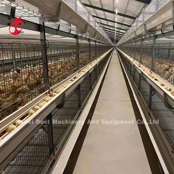 Et cage de grilleur de volaille de H soulevant l'équipement pour les poussins d'un jour Sandy