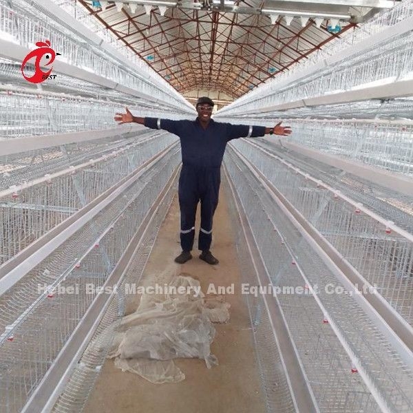 5 rangées 200 oiseaux ont galvanisé le système de cage de couche de volaille pour le poulailler Sandy